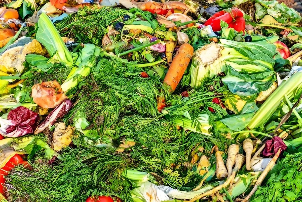 بخش‌های دورریختنی میوه و سبزی، منبعی پنهان از فیبرهای غذایی