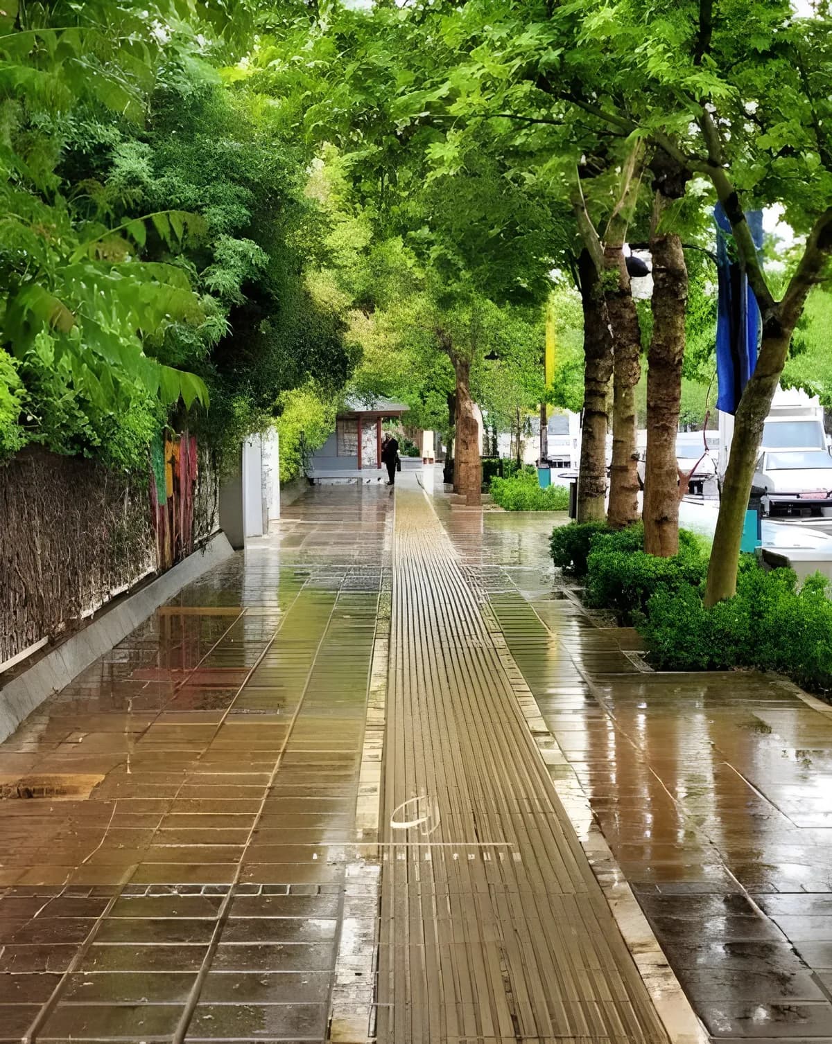آسمان مشهد بارانی می‌شود؟ 